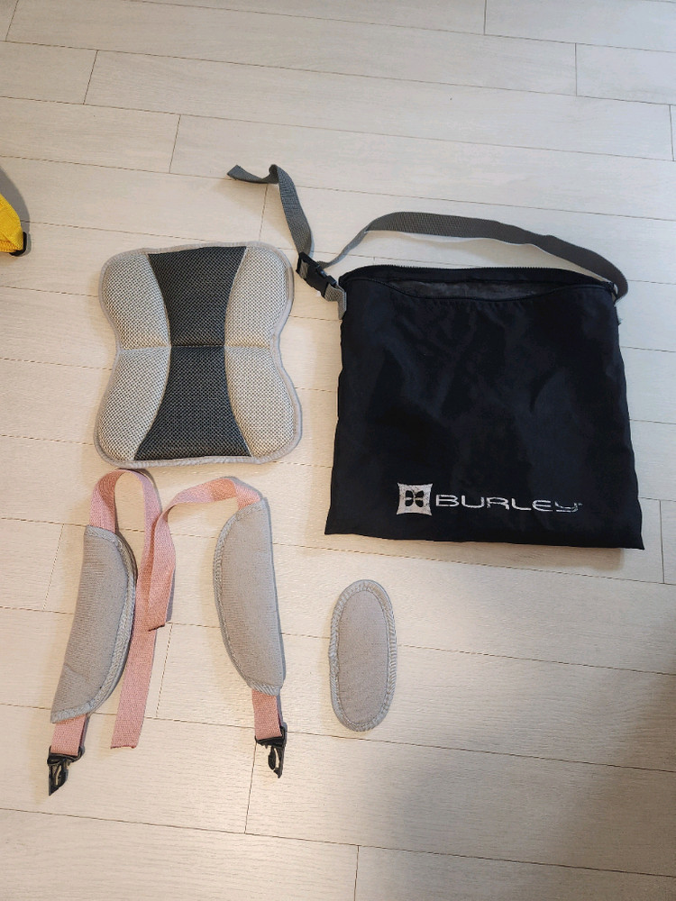 자전거 트레일러 벌리 디라이트 이미지