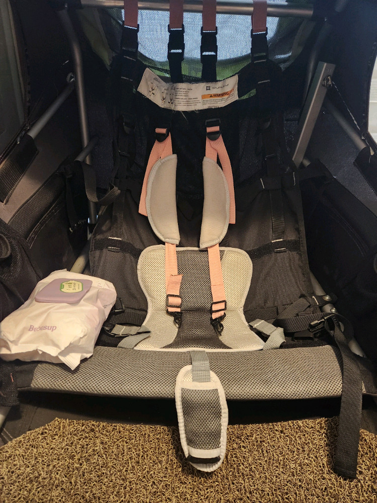 자전거 트레일러 벌리 디라이트 이미지