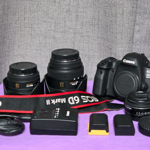캐논 EOS 6D Mark II 6d mark2 육두막 렌즈 3개 포함 이미지