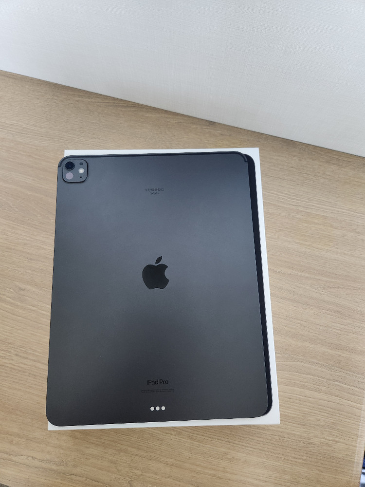 아이패드 프로 M4 13인치 256G Wi-Fi + 애케플 남음 이미지