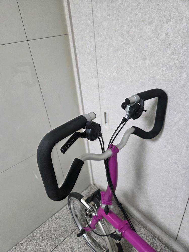 브롬톤 P6R 이미지