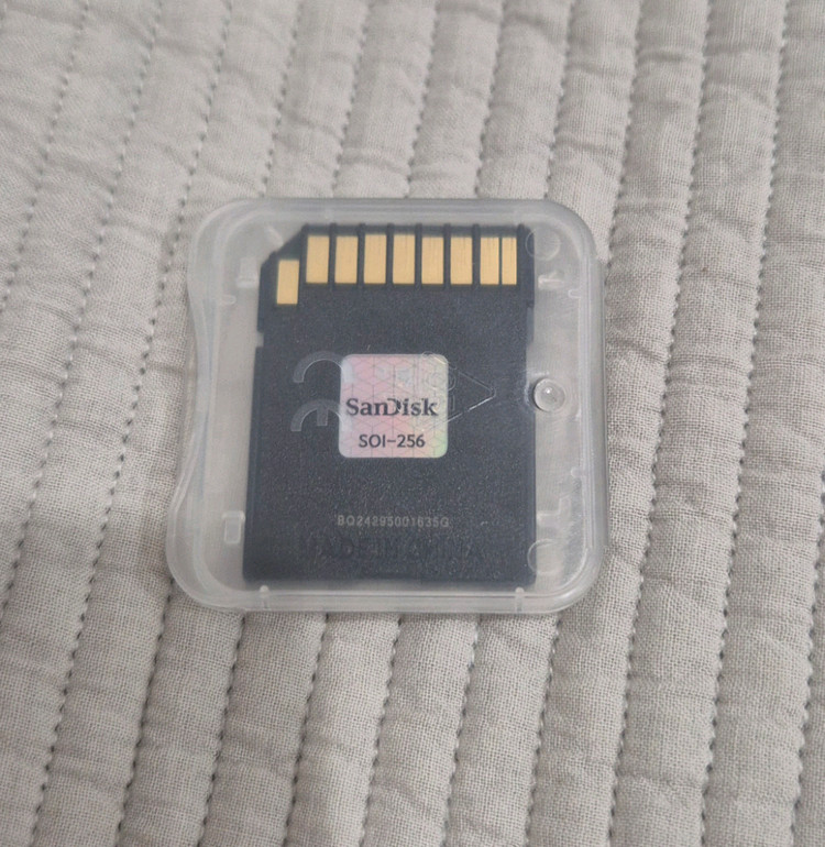 샌디스크 Extreme PRO V30 256GB 이미지