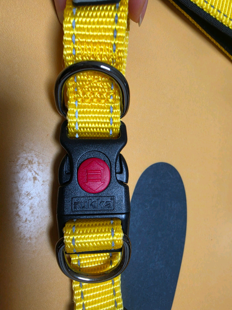 루카펫 목줄+리드줄 세트 S사이즈 이미지
