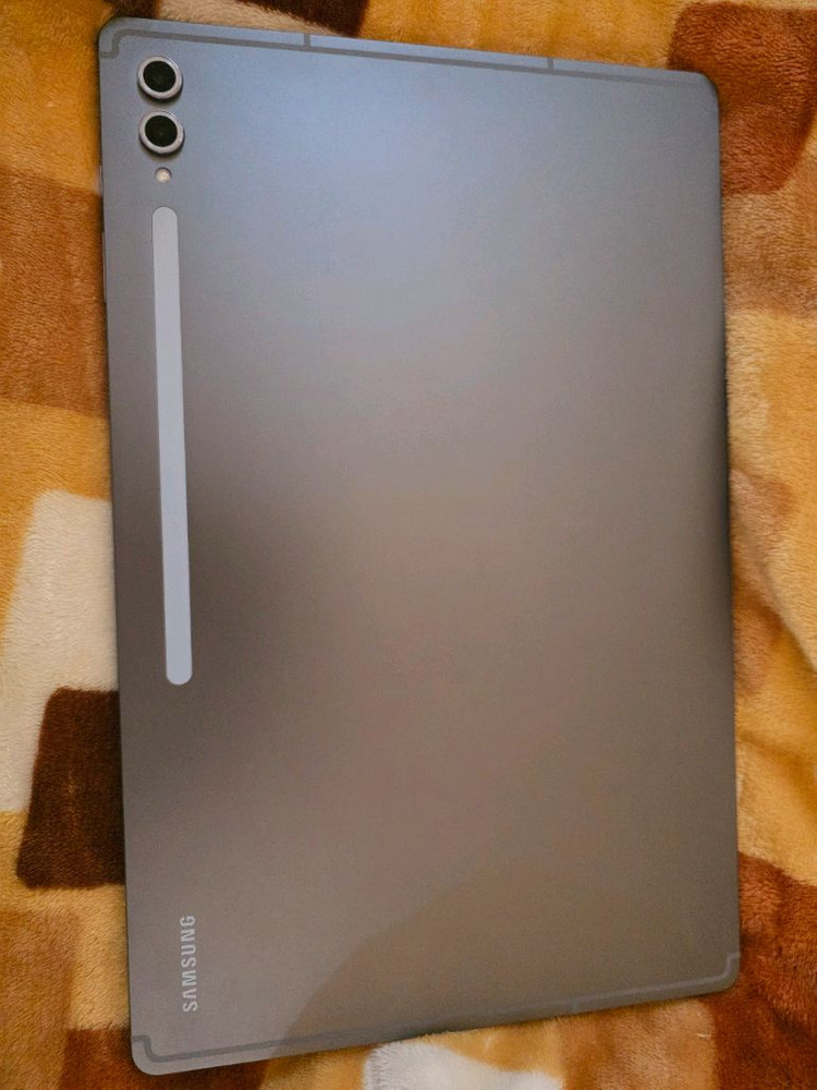 삼성 갤럭시탭 S10 울트라 WIFI 256GB 이미지