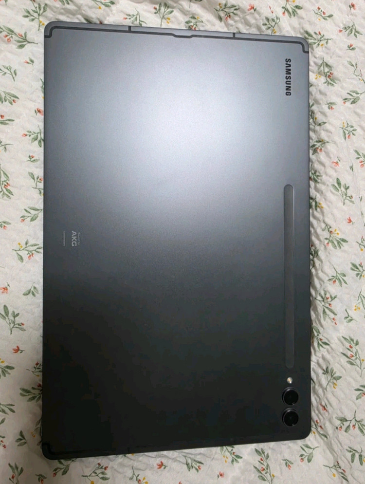 갤럭시탭s9 울트라 256GB WiFi 이미지