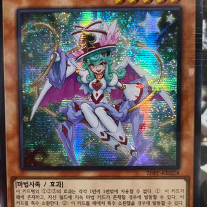 유희왕 카드 판매 가격 잘 몰라요 tcg 보고 적은거라 문의주세요 이미지