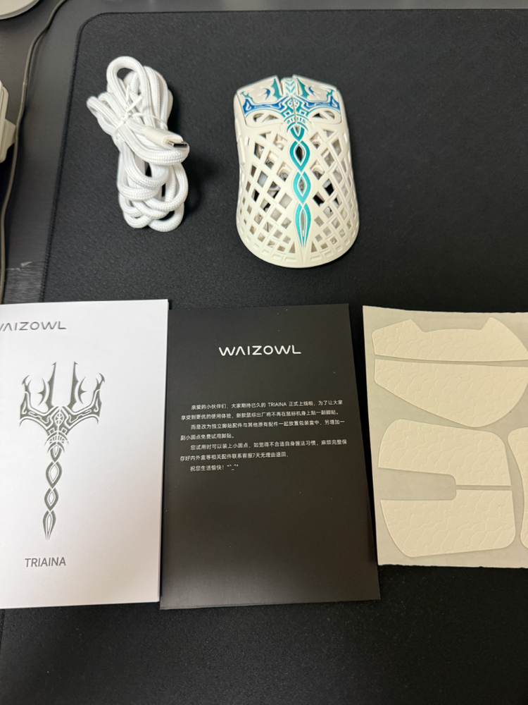 waizowl 와이즈아울 triaina 8k 화이트 이미지
