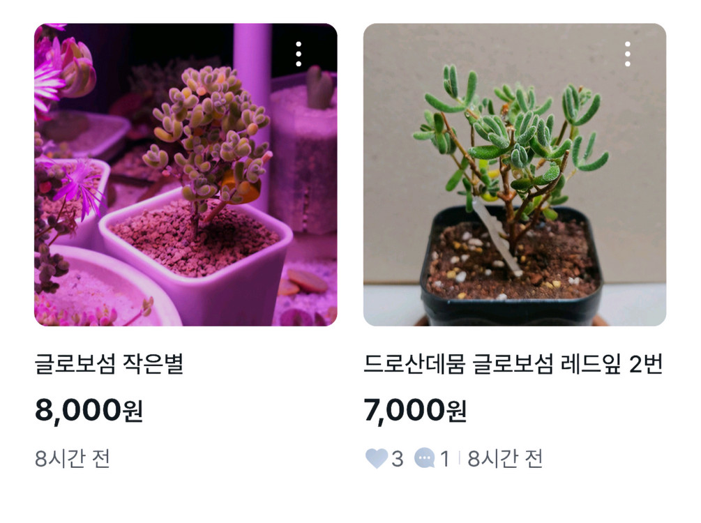 글로보섬 일괄(6개)+원보 이미지