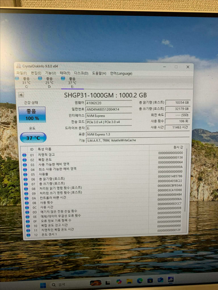 sk하이닉스 p31 1tb 이미지