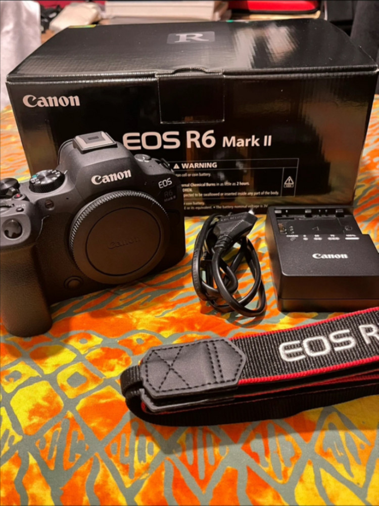 캐논 R6 mark2 + RF 24-70mm F2.8 L IS USM 렌즈 + 고독스 v1 pro c / r6m2 이미지