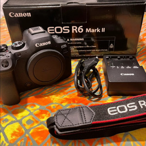 캐논 R6 mark2 + RF 24-70mm F2.8 L IS USM 렌즈 + 고독스 v1 pro c / r6m2 이미지
