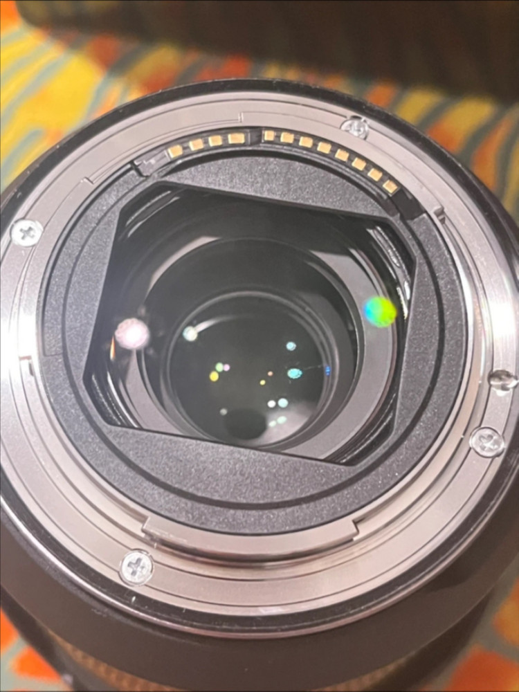 캐논 R6 mark2 + RF 24-70mm F2.8 L IS USM 렌즈 + 고독스 v1 pro c / r6m2 이미지