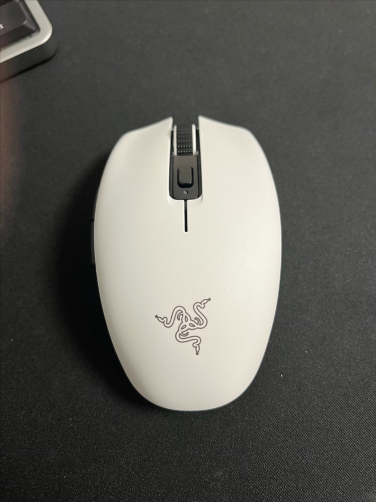 오로치 v2 +aaa 여분 건전지 9개 급처 이미지