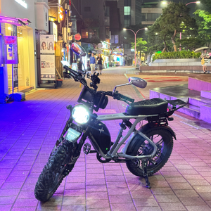 풀옵션 엑스라이더 X200 맥스 전기자전거 (X200 프로 PRO 터보 듀오 X200S 급) 이미지