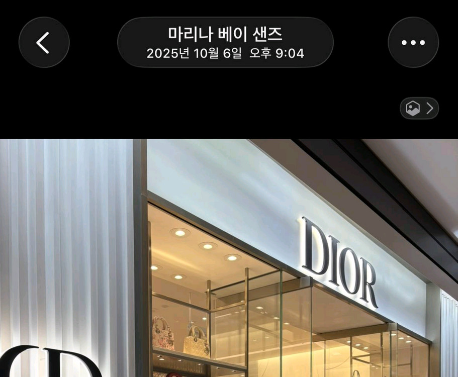 싱가폴 직수입 디올 플로럴 패턴 토트백 이미지