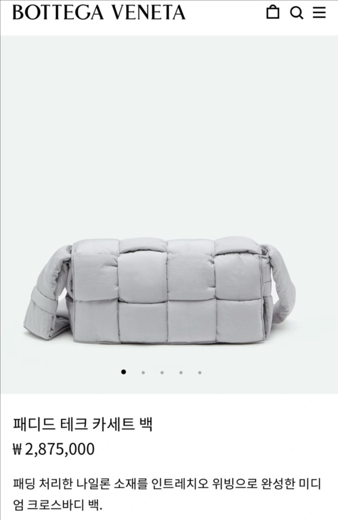 보테가 베네타 패디드 테크 카세트백 이미지