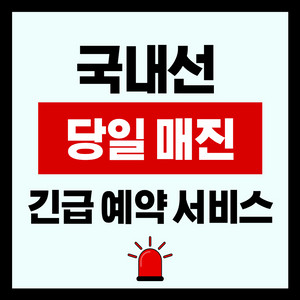 5/19 당일 긴급 매진 비행기표 예약) 제주 - 김포/부산/청주/대구/광주 국내선 이미지