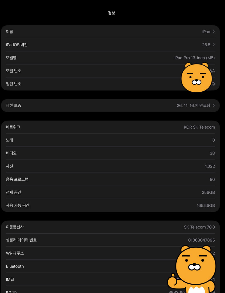 아이패드 프로 M5 13인치 (셀룰러) 이미지