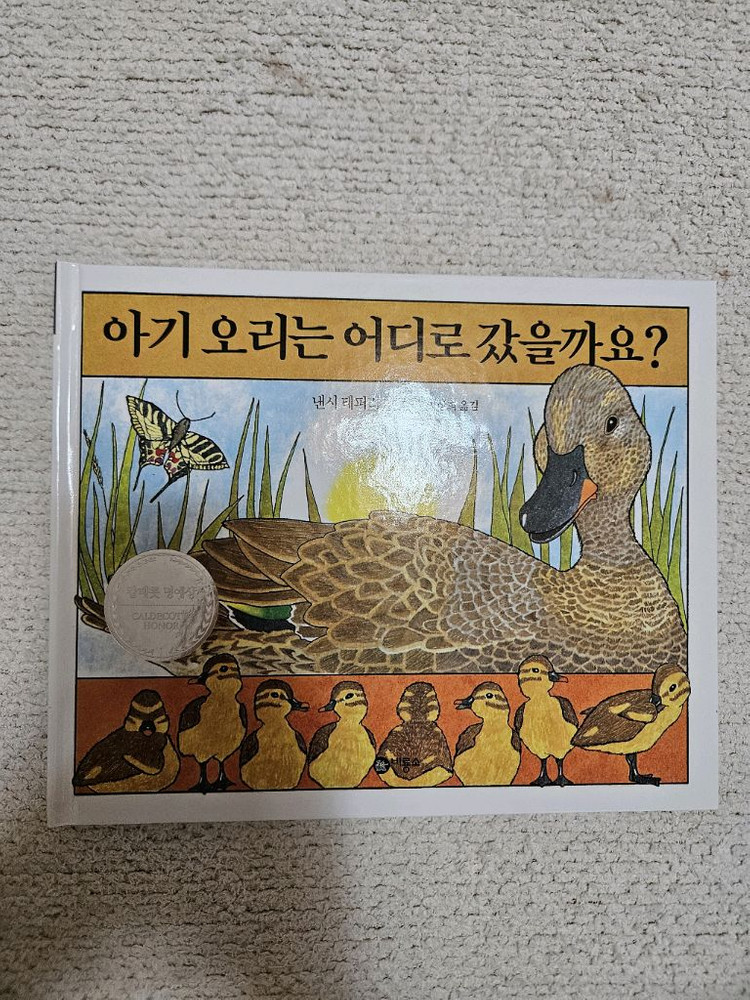 비룡소 그림동화 베스트 100 이미지