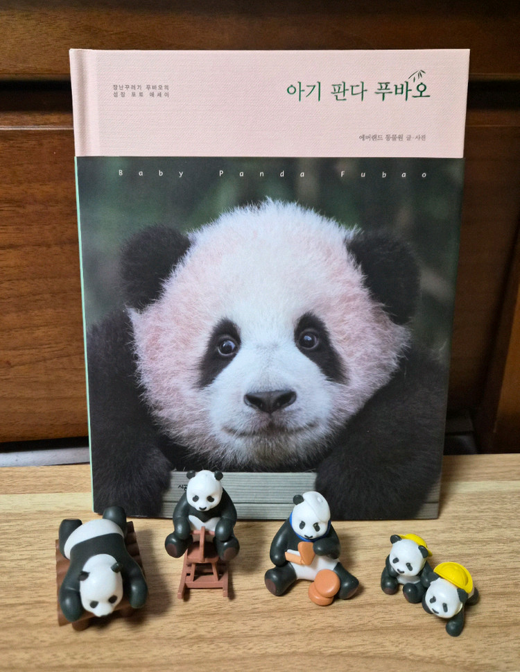바오패밀리 피규어(푸바오 책)일괄 이미지