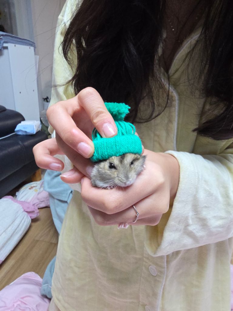 프로필 이미지