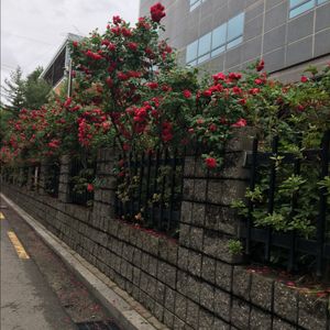 테스트 이미지