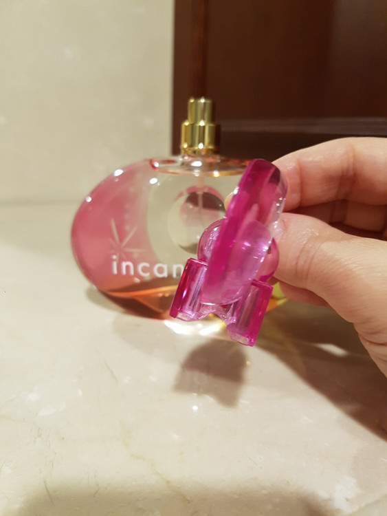 (향수) 살바토레 페라가모 인칸토 드림 오드두왈렛 100ml 이미지