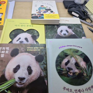 푸바오 도서 및 굿즈 세트 이미지