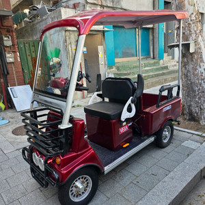 VEGA T350R 캐노피 2인승 전동 스쿠터 이미지