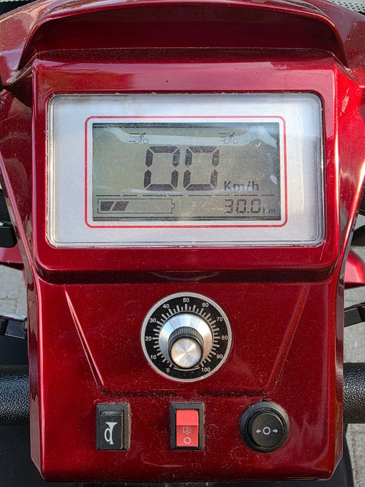 VEGA T350R 캐노피 2인승 전동 스쿠터 이미지