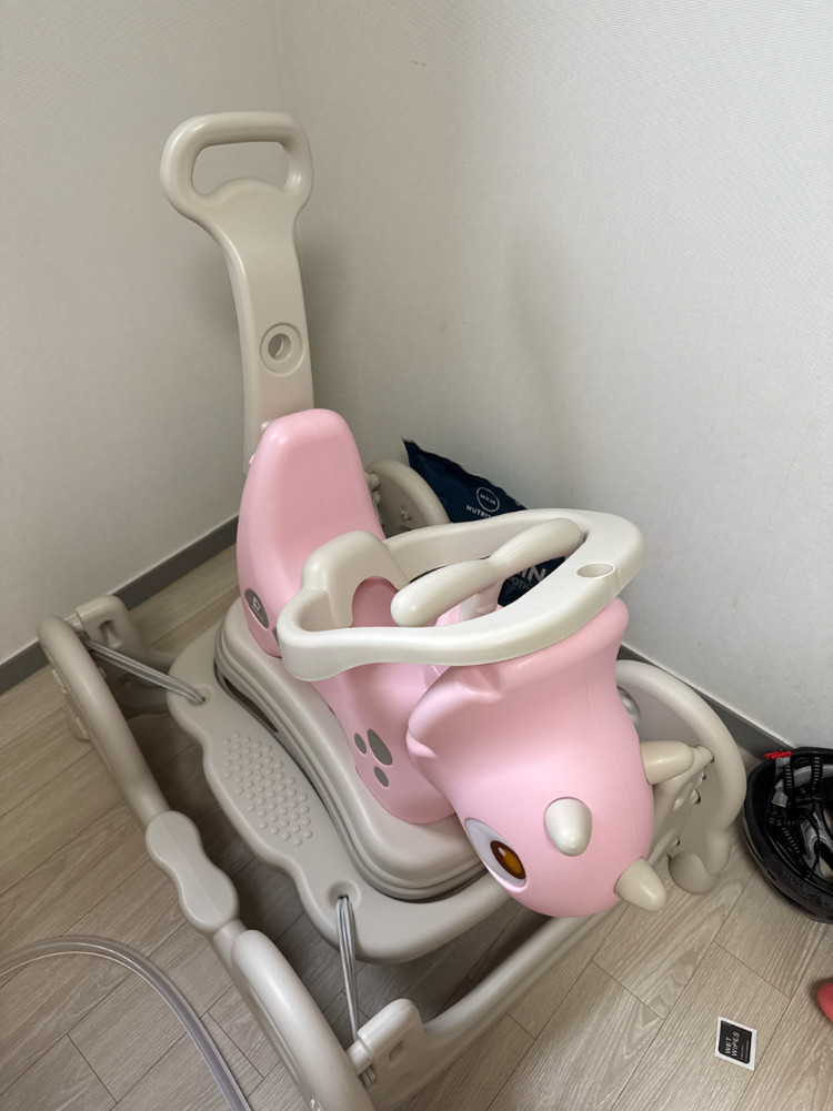 파피루스 트리케라 스프링카 핑크 이미지
