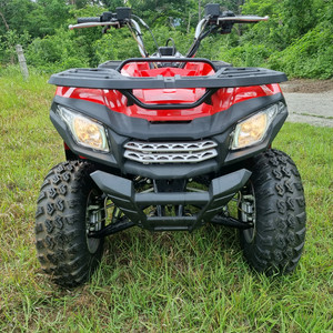 안타고 세워만둔 사륜오토바이 200cc 이미지