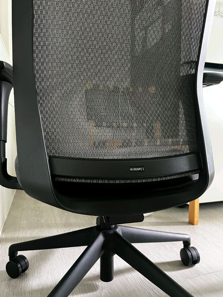 사이즈오브체어 베이직 이미지