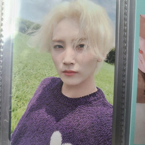 세븐틴 윤정한 문준휘 포카 일괄 이미지