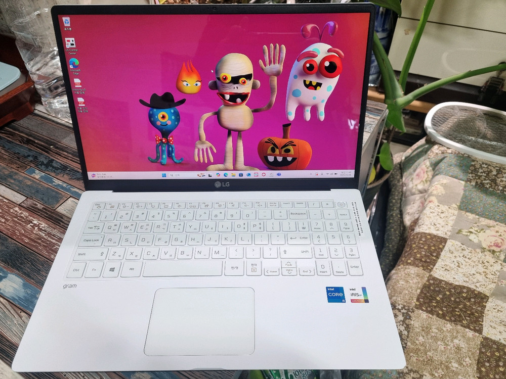 LG 그램 15인치 15Z95N-GRWWL 이미지