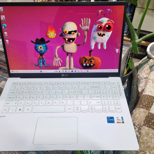 LG 그램 15인치 15Z95N-GRWWL 이미지