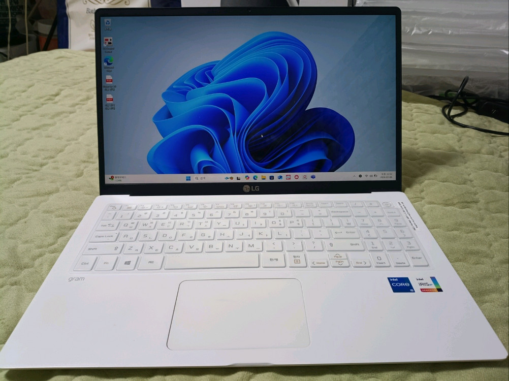 LG 그램 15인치 15Z95N-GRWWL 이미지