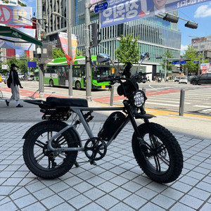 풀옵션 엑스라이더 X200 맥스 전기자전거 (X200 프로 PRO 터보 듀오 X200S 급) 이미지