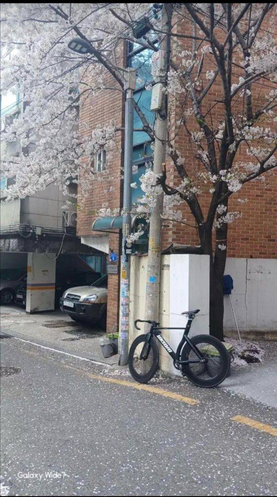 언노운 lv3 25년식 자접 (개급처) 이미지