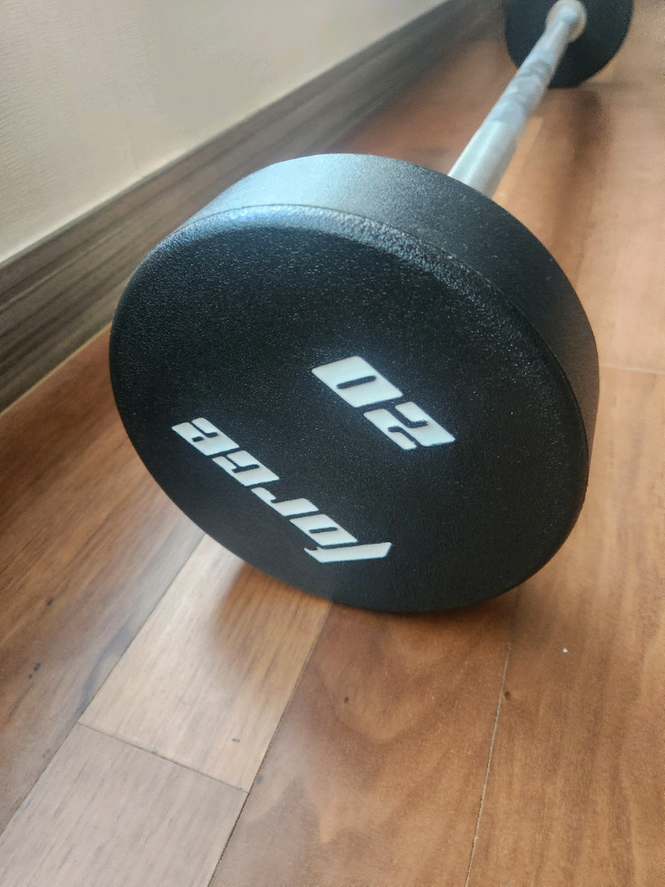 포스 일체형 바벨(20kg)~부산 이미지