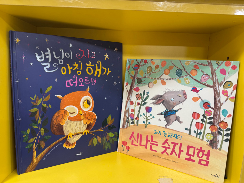 키즈스콜레 사파리 이미지