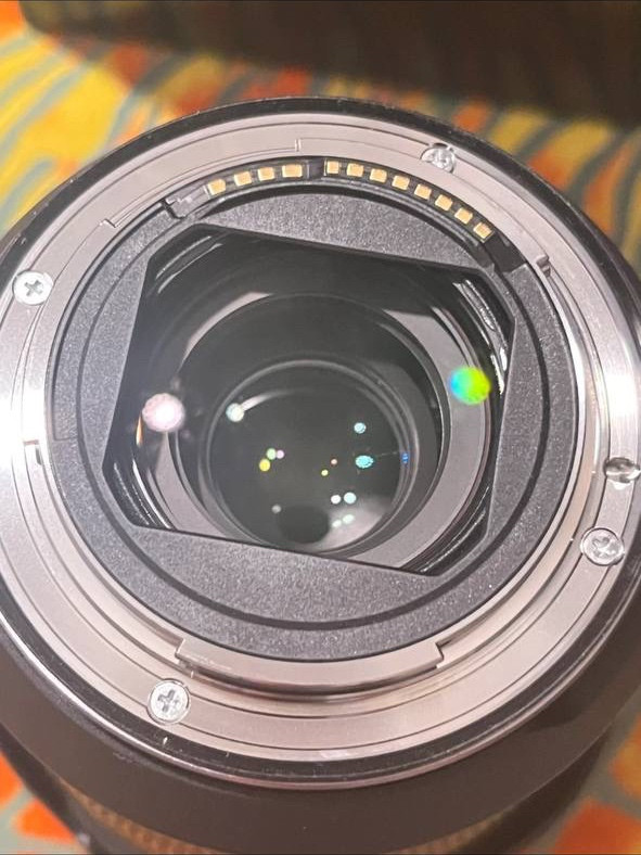 캐논 R6 mark2 + RF 24-70mm F2.8 L IS USM 렌즈 + 고독스 v1 pro c / r6m2 이미지