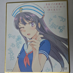 청춘돼지 사쿠라지마 마이 색지 이미지