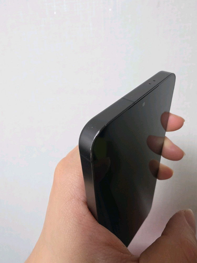 갤럭시S24플러스 512GB 이미지