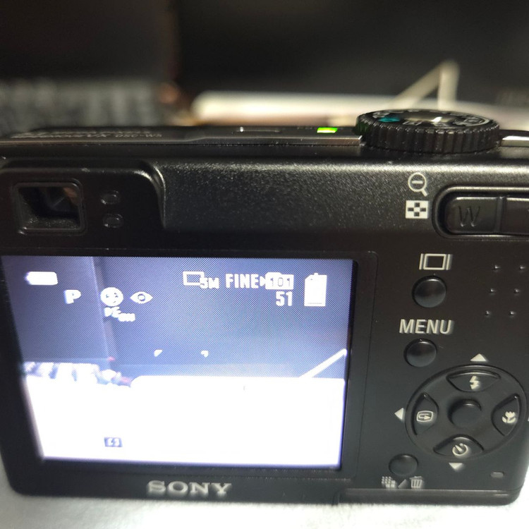 디지털 카메라 소니 사이버샷 dsc-w5 디카 이미지