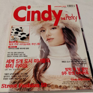 2006년 신디더퍼키 테이 tei 원빈 장동건 슈가 박수진 드렁큰 타이거 다이나믹 듀오 에픽하이 이미지
