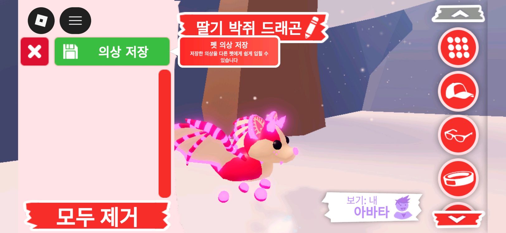 입양하세요 펫 메가네온 딸기 박쥐 드래곤 (메딸박) 판매합니다 이미지