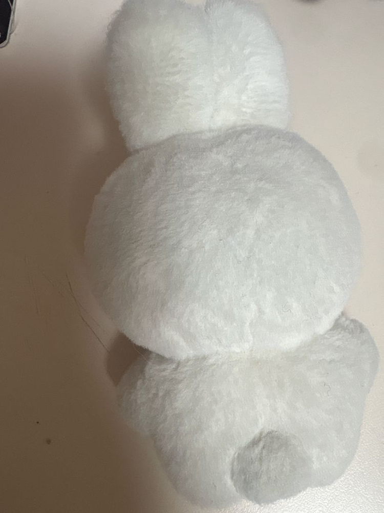 에스파 카리나 인형 카토끼 판매 이미지