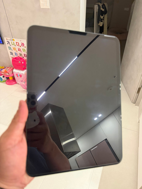 아이패드프로 11 M4 wifi 256GB 이미지