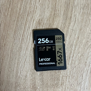 랙사 1667x uhs2 v60 256gb 이미지